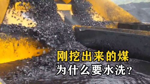為什么要清洗剛挖出來的煤？不洗的后果與重要性